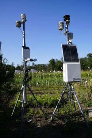 Cercetătorii de la Banca de Resurse Genetice şi Vegetale au operaţionalizat un sistem meteo cu staţii inteligente